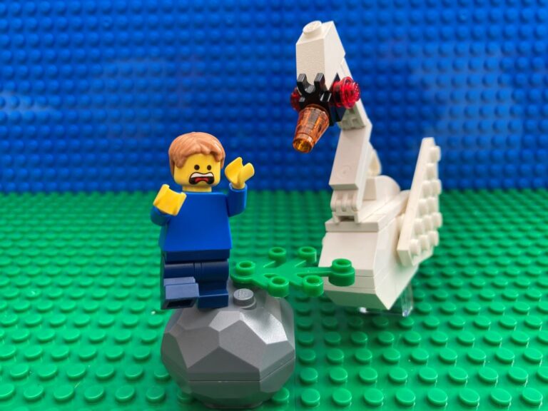swan attack on child