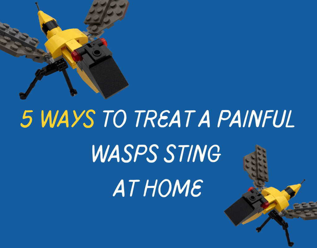 5 Ways to Treat a Painful Wasps Sting at Home. Image: 2 wasps circling the text