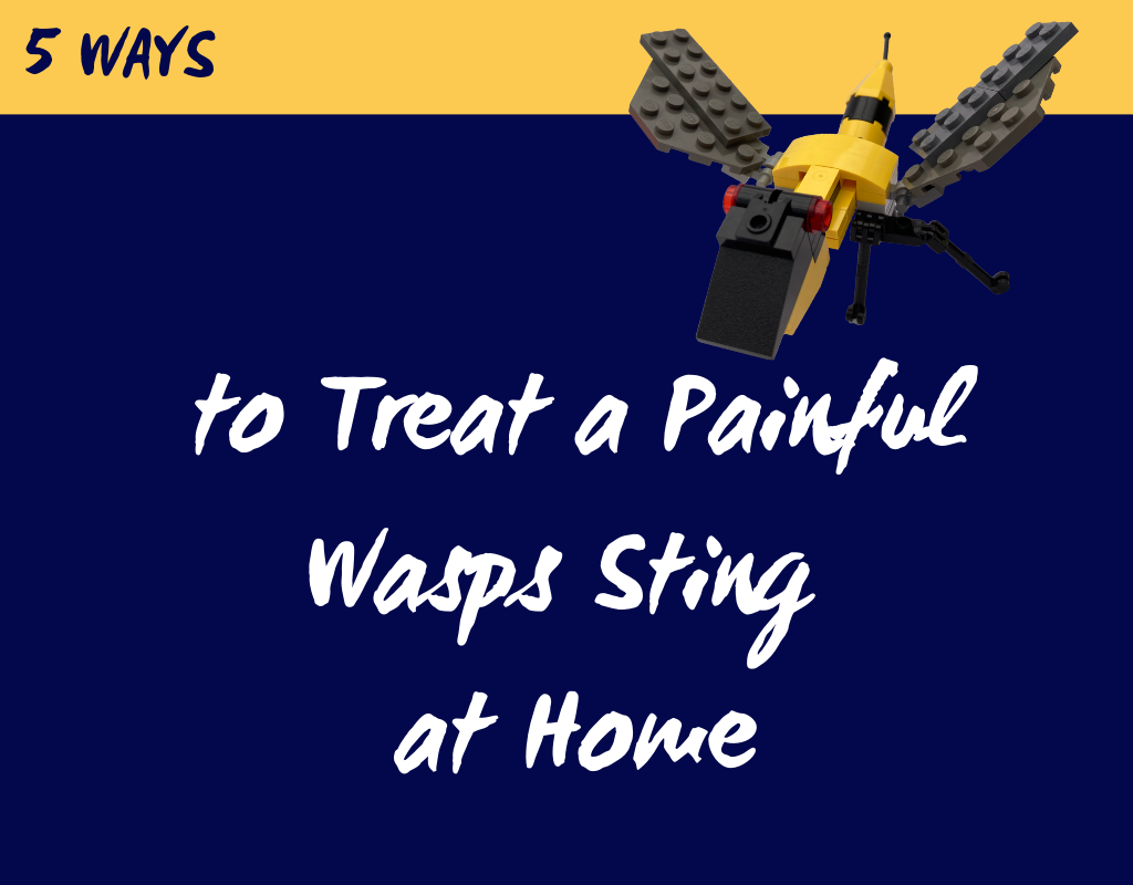 5 Ways to Treat a Painful Wasps Sting at Home