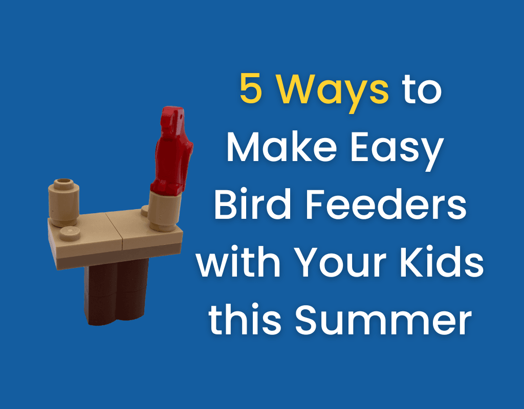 5 Ways to Make Easy Bird Feeders with Your Kids this Summer. Image: Bird table with a red bird sitting on it